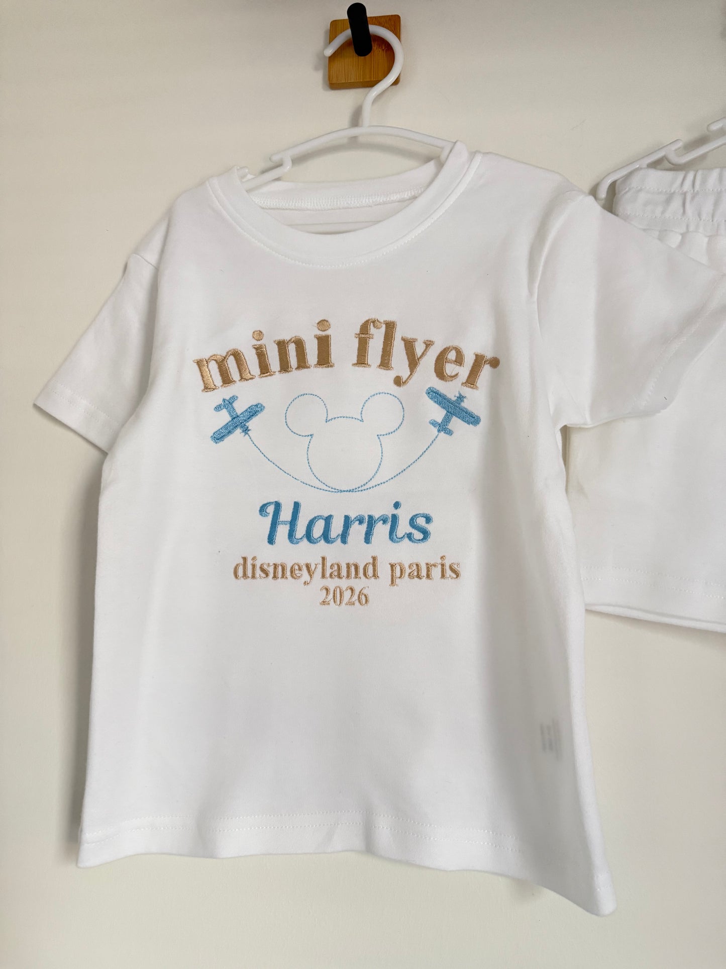 Disney Flyer